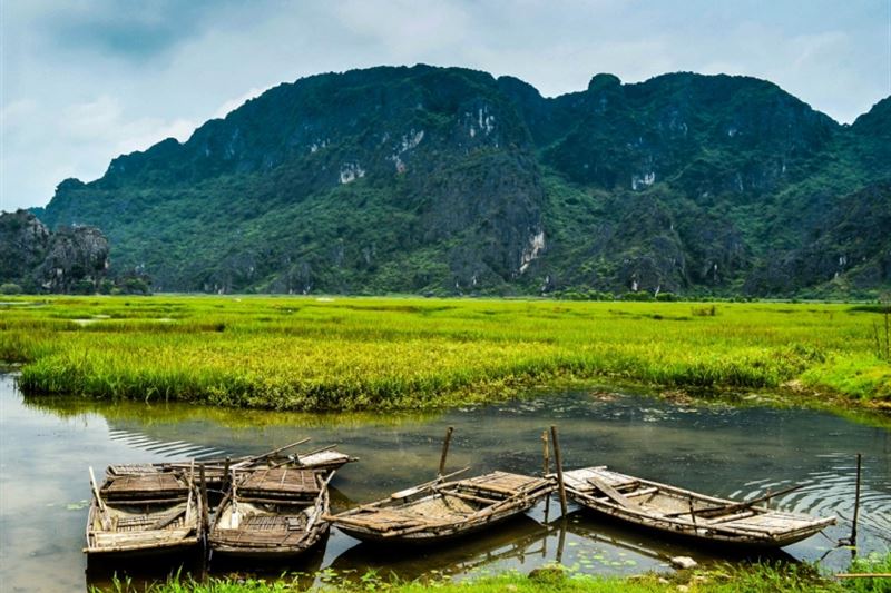 Ninh Bình: Hoa Lu - Tam Coc - Cuc Phuong